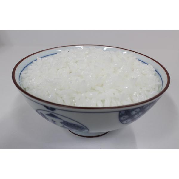 【病院食】実物分量　ごはん300g　504kcal　食品サンプル　フードモデル　ダイエット　トレーニ...