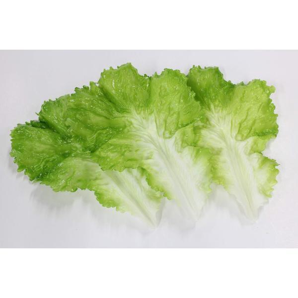 食品サンプル レタスセット 販促 インテリア ディスプレイ (レタス3枚セット)