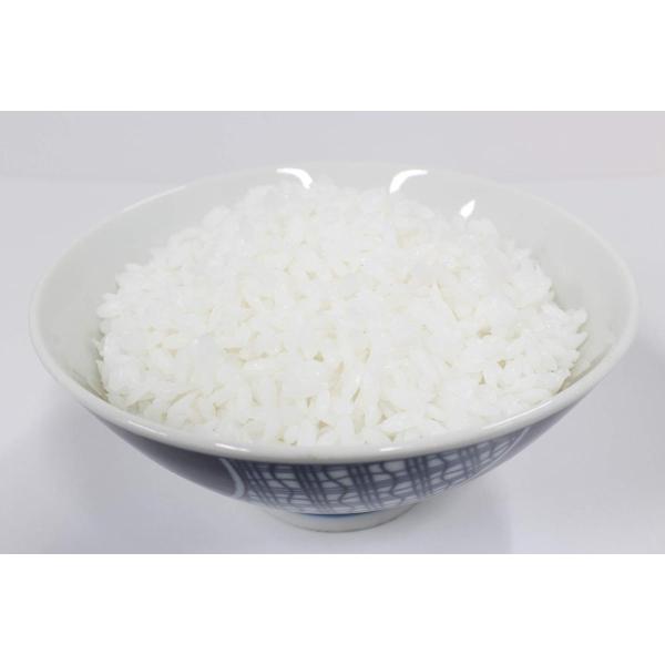 食品サンプル ごはん ご飯 白米 お供え物 仏飯 (ごはん大)