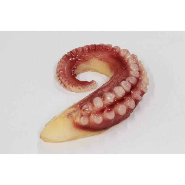 食品サンプル おでん 販促 インテリア ディスプレイ (たこ)