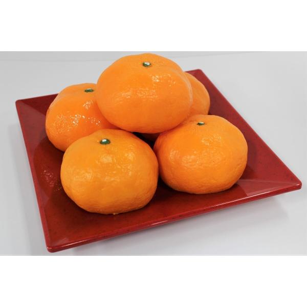 食品サンプル　みかん5個盛り