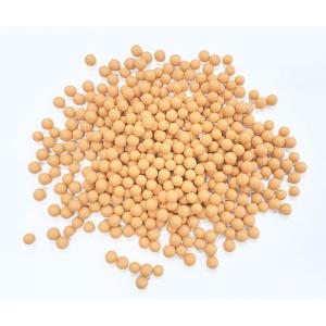 食品サンプル 柊鰯・大豆（枡付き）セット 節分 節分イワシ 豆まき