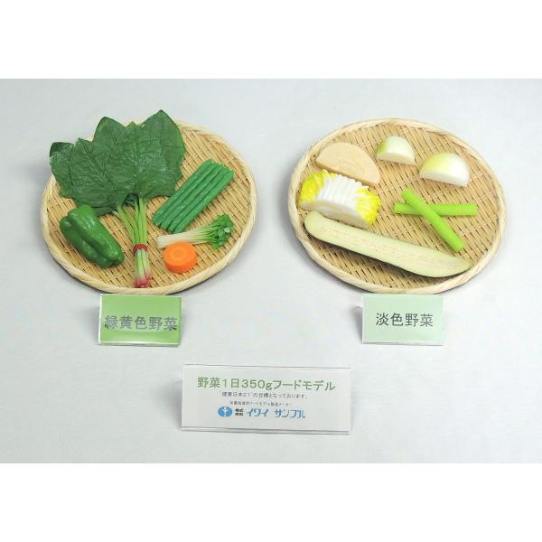 【病院食】栄養指導用食品サンプル 野菜1日350gセット 磁石付き(Bセット) フードモデル ダイエ...