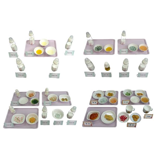 【病院食】44 離乳食 献立モデル Aタイプ フードモデル 離乳食 トレーニング 健康食