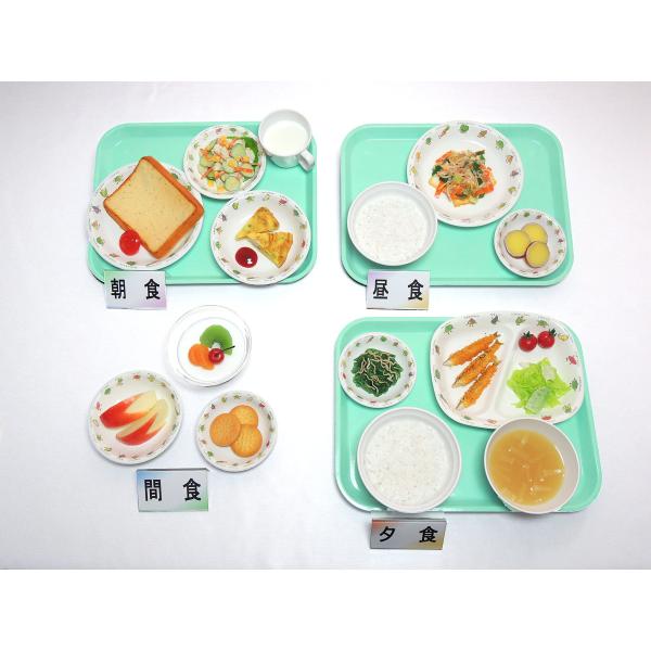 【病院食】幼児食 献立 3〜5歳児（47） フードモデル トレーニング 健康食