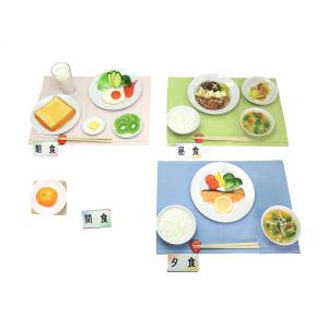 病院食】栄養指導用食品サンプル 野菜1日350gセット 磁石なし(Gセット