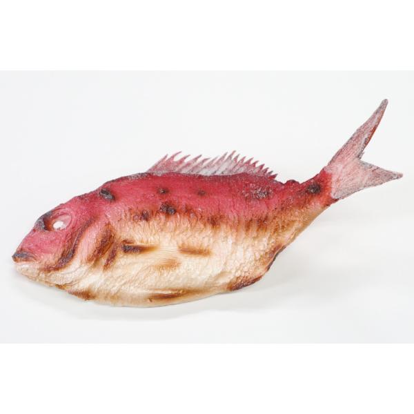 食品サンプル　焼き鯛　祝い鯛　鯛　販促　ディスプレイ