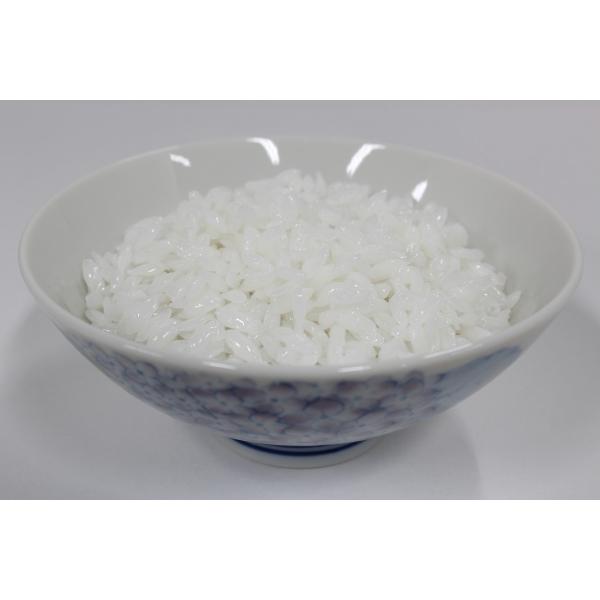 別注　ごはん100g　200g　300g　お茶碗ご支給分　3ケセット