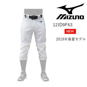 【限定商品】ミズノ MIZUNO 野球用練習ユニフォームパンツ GACHI PANTS ガチパンツ ヒップパッド／ニーパッド付き 大人用 (19ss) 12JD9F6301｜samsam