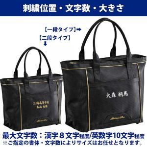 即納[名入れ刺繍可]MIZUNO ミズノプロ ...の詳細画像1