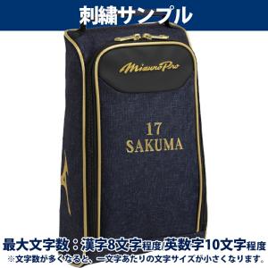 [名入れ刺繍可]ミズノプロ シューズケース 小...の詳細画像1