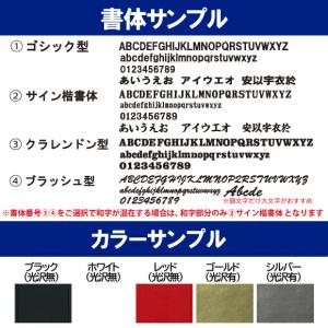 [名入れ加工可][メール便送料無料] ミカサ ...の詳細画像3