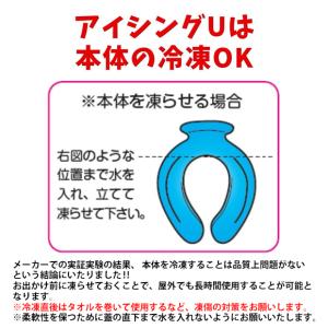 【即日出荷】正規取扱店 アイシングU ハンズフ...の詳細画像4
