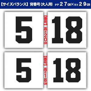 【メール便送料無料】 圧着ナンバー加工付 ミズ...の詳細画像5