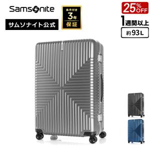 Samsonite（サムソナイト） エレメント スーツケース シルバー 27