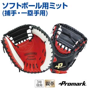Zeems キャーストミット 軟式 ジームス 野球グローブ 左投