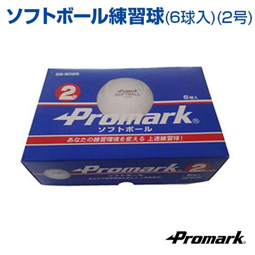 ソフトボール練習球 6球入 2号球 野球 SAKURAI サクライ 小学生用 練習用ソフトボール 実...