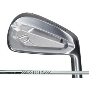 RODDIO (ロッディオ) MC アイアン 5-P (6本セット)　Dynamic Gold AM...