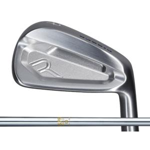 RODDIO (ロッディオ) MC アイアン 5-P (6本セット)　N.S.PRO 850GHシャ...