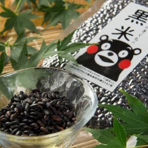 黒米 熊本産 阿蘇の天然水育ち 無農薬 真空パ...の詳細画像1