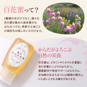山と蜜 春の里山百花蜜 300g 国産はちみつ...の詳細画像2