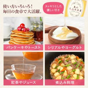 山と蜜 春の里山百花蜜 300g 国産はちみつ...の詳細画像5