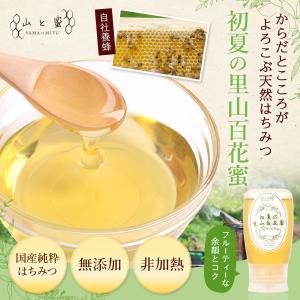 【26年産 新蜜】山と蜜 初夏の里山百花蜜 3...の詳細画像1