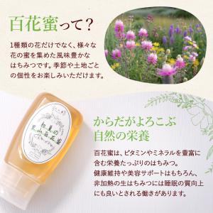 【26年産 新蜜】山と蜜 初夏の里山百花蜜 3...の詳細画像2