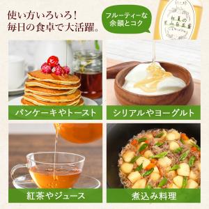 【26年産 新蜜】山と蜜 初夏の里山百花蜜 3...の詳細画像5