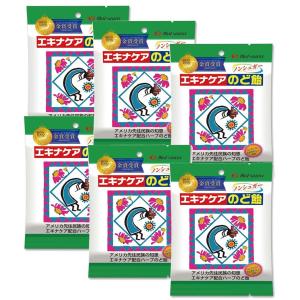 エキナケアのど飴 6個セット ノンシュガー