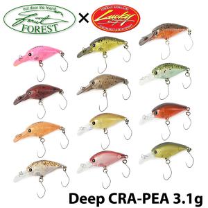 LUCKY CRAFT（ラッキークラフト） 【メール便可】ラッキークラフト