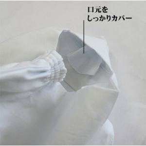 剣道面下汗取 [002-AK54]の詳細画像2