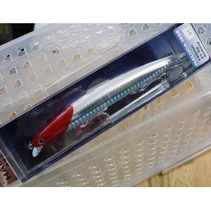 SMITH（スミス） ハルカ145S #05.サヨリ : CURIOSITY Yahoo!店 - 通販