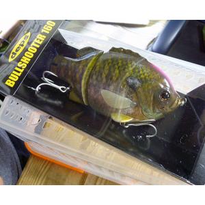 deps（デプス） ブルシューター160F キンブナ : CURIOSITY Yahoo!店