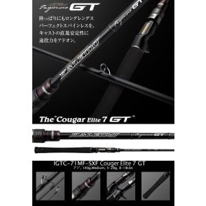エバーグリーン　カレイド　インスピラーレ　スタリオン　DG 69MH エバーグリーン カレイド・インスピラーレ TKIC-69MH スタリオンDG69MH