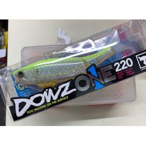 JACKALL（ジャッカル） ダウズスイマー220SF マルハタチャートヘッド