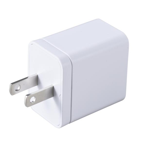 三栄メディシス チェックミー用充電アダプタ