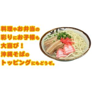丸善 シーサーかまぼこ 100gの詳細画像4