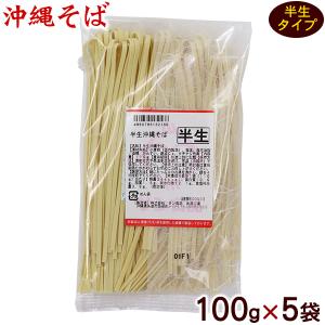 半生沖縄そば 100g×5袋　/半 生麺｜san3330