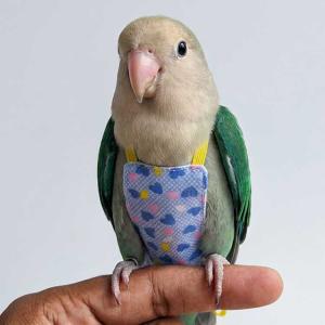 フライトスーツ 鳥 ベスト+リード インコ用ハ...の詳細画像1
