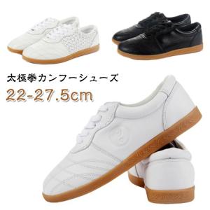 太極拳 カンフーシューズ 太極拳シューズ レザー...の商品画像
