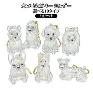 キーホルダー ペットの毛 犬の毛 3枚セット 透明ボトル わんちゃんの思い出 抜け毛 収納 キーホルダー 遺毛ケース かわいい アクセサリー ペット用
