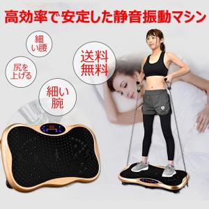 1年保証 3d  バランスウェーブ　ぶるぶるマシーン