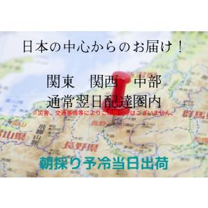 アスパラ アスパラガス 極上 長野県産 800...の詳細画像5