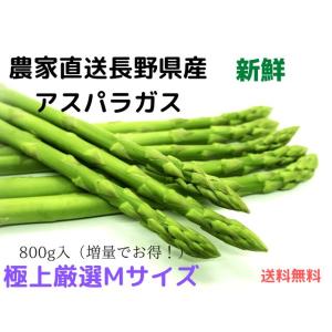 長野県産 アスパラガス 極上Mサイズ800g（Sサイズおまけ付）