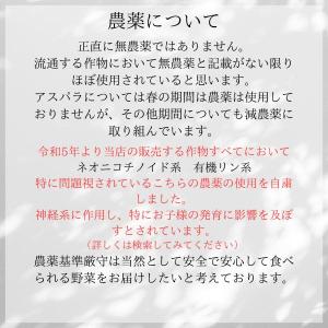 予約 長野県産 とうもろこし スイートコーン ...の詳細画像3