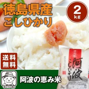 令和7年産 徳島県産あきさかり 10kg【5kg×2袋】 秋の盛りに収穫しま