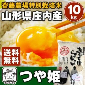 令和５年山形県庄内産齋藤農場つや姫　10kg(5kg×2袋)【送料無料】※北海道、沖縄及び離島は別途発送料金が発生します｜sanagochifarm