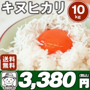 【送料無料】徳島キヌヒカリ(28年度産) 10kg絹の白さと輝きを持つお米です※北海道、沖縄及び離島は別途発送料金が発生します