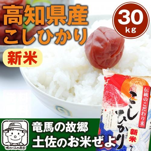 令和5年産 高知県産コシヒカリ 30kg( 5kg×6袋)【送料無料】※北海道・沖縄・離島は追加送料...